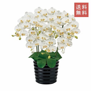 Ӓ sAI[Lbh  7{ zCg t@m A[eBtBVt[ G}H  GKg j Mtg JXj CeA 蕨 CeA fBXvC 