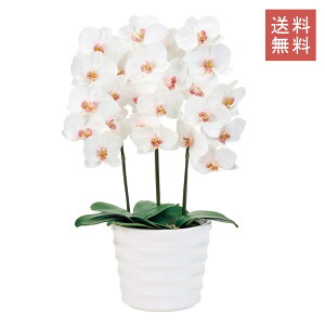 Ӓ }At@m  3{ zCg A[eBtBVt[ G}H  GKg j Mtg JXj CeA 蕨 CeA fBXvC   X