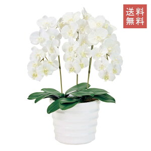 Ӓ t@m  3{ zCg A[eBtBVt[ G}H  GKg j Mtg JXj CeA 蕨 CeA fBXvC   X V