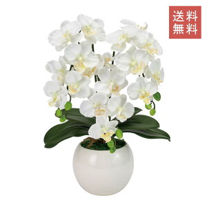 Ӓ t@m  3{ zCg A[eBtBVt[ G}H  GKg j Mtg JXj CeA 蕨 CeA fBXvC   X V