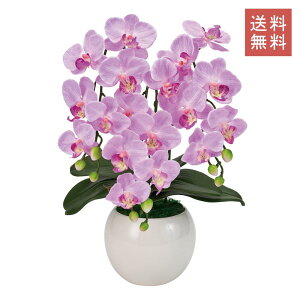 Ӓ t@m  3{ sN A[eBtBVt[ G}H  GKg j Mtg JXj CeA 蕨 CeA fBXvC   