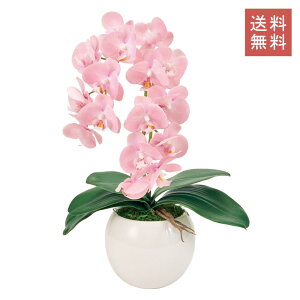 Ӓ t@m  2{ sN A[eBtBVt[ G}H  GKg j Mtg JXj CeA 蕨 CeA fBXvC   