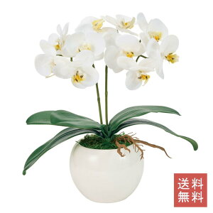 Ӓ t@m  2{ zCg A[eBtBVt[ G}H  GKg j Mtg JXj CeA 