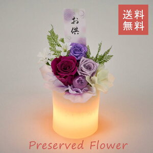 vU[uht[ ̉  @ t[l AW zCg o AW g vU[uht[      ފ ʖ V ʎ @v d 