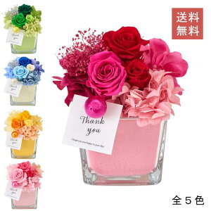 vU[uht[ o  AW S5F AWg  KX Jbv fBXvC  GKg vU[uh t[ L[u CeA v[g Mtg j