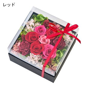 {bNXAW vU[uht[ S3F o AWg Mtg  BOXAW ` {  GKg vU[uh t[ CeA v[g j X V