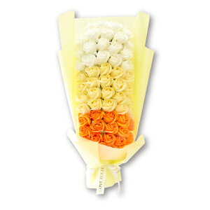 KN̉ԑ S4F \[vt[ Ό̉ V{t[ AW  Ό ق̂ȍ   aj Mtg v[g CeA  rO  IuF GK