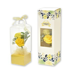 V{t[ {bNX^ n[g \[vt[ u[ bh  Ό ق̂ȍ   Mtg v[g CeA  rO  IuF