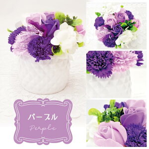 ?̉ \[vt[ AW S6F [Y J[l[V   RpNg V{t[ Mtg v[g j ̓     lC ͂Ȃ 