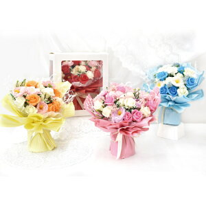 KN̉ԑ S4F \[vt[ Ό̉ V{t[ AW  Ό ق̂ȍ   aj Mtg v[g CeA  rO  IuF GK