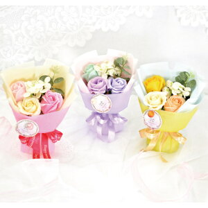 ~ju[P V{t[ \[vt[ ԑ CG[ sN p[v  ԑ  Όf ق̂ȍ   Mtg v[g CeA  rO  Iu