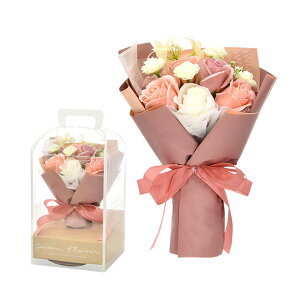 Ό̉ \[vt[ S8F u[P ԑ \[vu[P bsO  KN V{u[P ԑ a v[g j q Mtg   CeA { o A