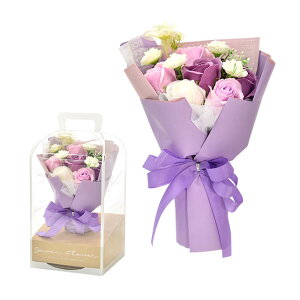 Ό̉ \[vt[ S8F u[P ԑ \[vu[P bsO  KN V{u[P ԑ a v[g j q Mtg   CeA { o A