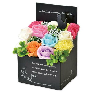 V{t[ {bNX^ n[g \[vt[ u[ bh  Ό ق̂ȍ   Mtg v[g CeA  rO  IuF