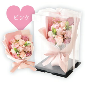 \[vt[ u[P sN p[ ԑ a bsO Y KN V{t[ \[v t[ a v[g q Mtg  CeA { o AWg 