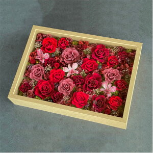 KN t[ AWg vU[uht[ bh ԐF  ` p^  u^  Rf CeA   ӏ AWg rO Vbv nhC