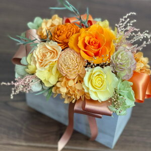 t[|bg AW vU[uht[ S4F AWg p^ { [Y  v[g ̓ a Mtg ԑ t[ j P[X CC IW