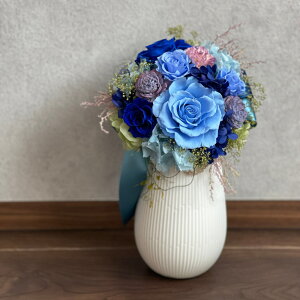  AW o vU[uht[ AWg S4F [Y  v[g ̓ a Mtg ԑ vU[uh t[ j P[X CC IWi 