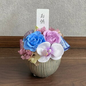  vU[uht[ dp  RpNg AWg  @v @ ̉ ݂̉ i Ԋ rO CeA Mtg P[X vU[uh AW ی^