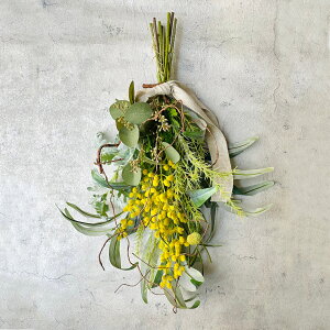 XbO ~U A[eBtBV t[ x[ CG[ ԑ   Ǌ| CeA i` {[  u[P JtF X  fBXvC i` GK