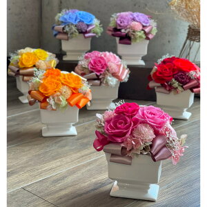 vU[uht[ AWg S7F { KN bh IW sN u[ CG[ p[v Yx[sN Ԋ  RpNg vU[uh t[  r