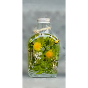 n[o[  VgXO[ {g r RpNg CC IWi KX CeA X Xg  i`  A[eBtBVt[ A