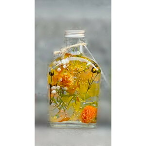 n[o[  xKbgCG[ {g r RpNg CC IWi KX CeA X Xg  i`  A[eBtBVt