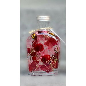 n[o[  Xgx[sN {g r RpNg CC IWi KX CeA X Xg  i`  A[eBtBVt[ 