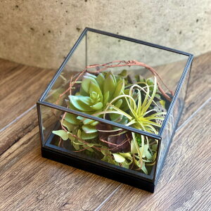 IuWF AW O[ A A[eBtBV AWg KXP[X `  A  rO   CeA CC IWi  t