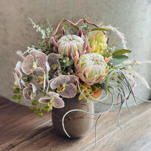 A[eBtBV O[ t[ AWg  A Ԋt  rO   CeA CC IWi  i` t`X^C 