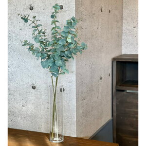 [J  KXԕr  O[vc ϗtA  CeA fBXvC Vv _  rO X ԕrt NA[ AW CC IWi 