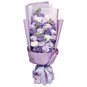 V{u[P ԑ S5F \[vt[ 傫 Ό̉ V{t[ AW  Ό ق̂ȍ   aj  Mtg v[g \[v t[ Ce