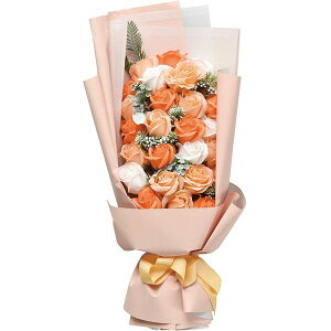 V{u[P ԑ S5F \[vt[ 傫 Ό̉ V{t[ AW  Ό ق̂ȍ   aj  Mtg v[g \[v t[ Ce