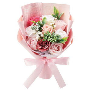 \[vt[ ԑ u[P S5F X^h av[g  o Ό̉ V{t[ AW  Ό ق̂ȍ   aj  Mtg v[