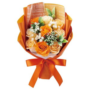 \[vt[ ԑ u[P S5F X^h av[g  o Ό̉ V{t[ AW  Ό ق̂ȍ   aj  Mtg v[