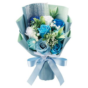 \[vt[ ԑ u[P S5F X^h av[g  o Ό̉ V{t[ AW  Ό ق̂ȍ   aj  Mtg v[