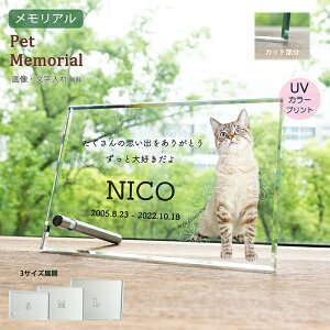 ybg ʔv ybgʔv w KXtHgX^h (10mm) x ʐ^ A  e 茳{ V l\ ~ KX NA  vo LO IWi I[_[Ch  L 