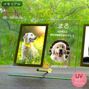 ybg ʔv ybgʔv KX tHgt[ STCY L c^ 180×215mm ʐ^ tHgX^h A  e 茳{ V l\ ~ KX NA  vo LO I