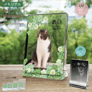 ybg ʔv ybgʔv NX^ w LX^h x ybgA  e 茳{ V l\ ~ KX NA  vo LO IWi I[_[Ch  L CR 