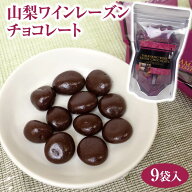 【山梨 お土産】山梨ワインレーズンチョコレート袋タイプ レーズン 山梨 チョコレート ワイン おつまみ …