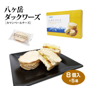 八ヶ岳 お土産 八ヶ岳ダックワーズ 8個×5箱 山梨 やまなし 小淵沢 清里 洋菓子 焼き菓子 スイーツ