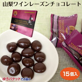 メール便 山梨 お土産 山梨ワインレーズンチョコレート15個入 菓子 洋菓子 チョコレート 山梨ワイン レーズンチョコ ワイン おつまみ ブランデー ワイン ウィスキー ワイエムカンパニー 干しぶどう ぶどう チョコレート菓子 チョコ