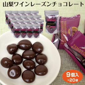 送料無料 ケース 山梨 お土産 山梨ワインレーズンチョコレート9個入×20袋 菓子 洋菓子 チョコレート レーズンチョコ ワイン おつまみ ブランデー ワイン ウィスキー ワイエムカンパニー 干しぶどう ぶどう チョコレート菓子 チョコ