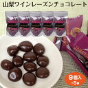山梨 お土産 山梨ワインレーズンチョコレート9個入×5袋 菓子 洋菓子 チョコレート レーズンチョコ ワイン おつまみ …
