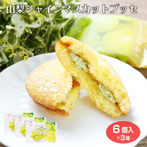 VC}XJbgubZ6×3 VC}XJbgubZ mَq Ԃǂ ݂₰ CGJpj[ R yY