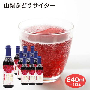 RԂǂTC_[ 240ml×10{ Y_ TC_[ r O[v ʏ`  W[X Y_ RyY RY yY ܂Ƃߔ 