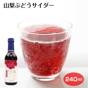 RԂǂTC_[240ml Y_ TC_[ r O[v ʏ`