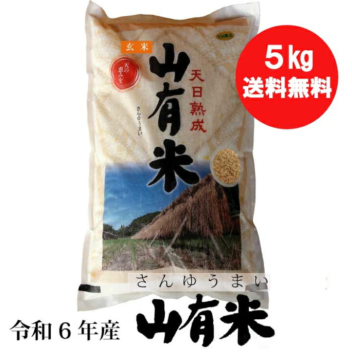 楽天市場】【送料無料】【令和6年産】お米・山有米・玄米（5kg）※軽減 
