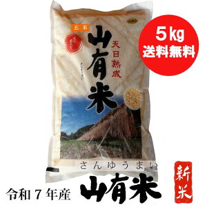 yzyߘa7NYzāERLāEāEVāi5kgjyŗΏۏi