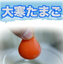 【大寒たまご】 濃厚卵黄もみじたまご 【20個入り】